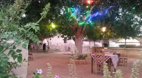 Karpaz Farm Guest House - Image 5