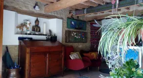 la cana dolce - Image 3
