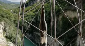 La Corte di Nonna Quercia - Image 5