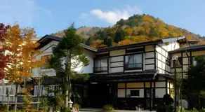 Tsuyukusa - Image 4