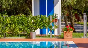 Suite Agave - Image 5