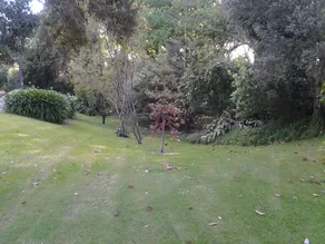 Hikurangi Stay Place - Image 3