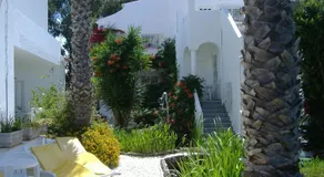 Dona Ana Garden - Image 3