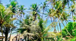 Praneeth Guest House - Image 4