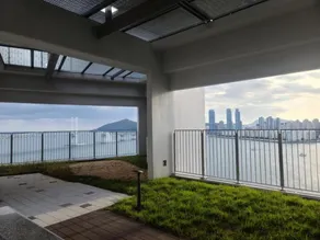 Harington Gwangan - Image 4