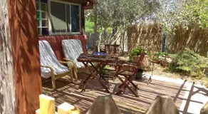 Desert Peace - Image 4