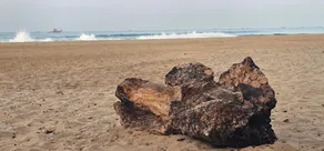 Beachgarden stay - Image 4