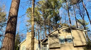 Cineluxe Retreat - Image 5