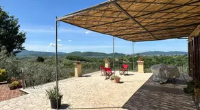 Olivella e Oleandra - Image 5