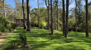 Beachgum - Image 4