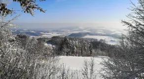 Miyama - Image 4