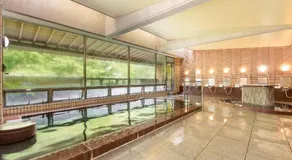 Shin Kabakawa Kanko Hotel - Image 3