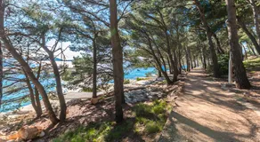 Apartments by the sea Drage - Biograd - 23455 - Image 4