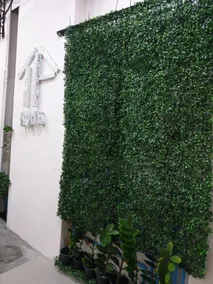 TP home - Image 3
