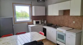 les lavandes - Image 4