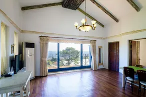 Lime Orange Vill - Image 2