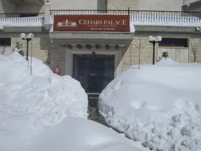 Cedars Palace - Image 5