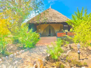 Explore mara camp - Image 4