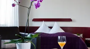 Hotel Neuer Karlshof - Image 2