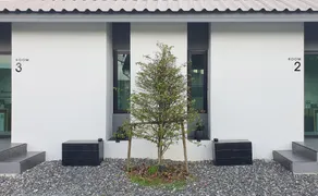 HAY Homestay - Image 2