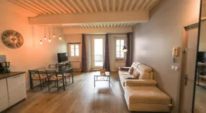 55 m2 Apart with big terrace in Annecy downtown - Image 2