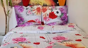Bright studio close to Zaventem airport - Image 5