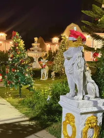 Vizz villa garden - Image 5
