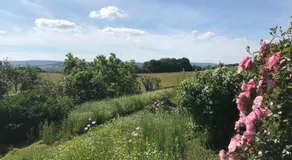 The Bothy at Oak Farm - Image 4