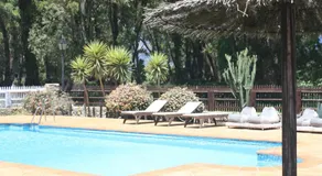 Molino El Mastral - Image 2