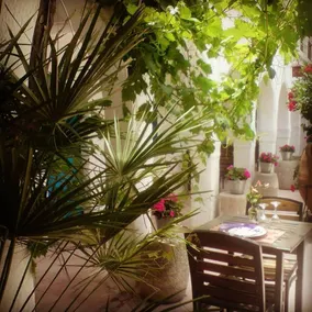 Hotel Arisha - Image 4