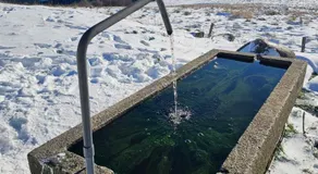 le flocon chaud sauna - Image 3