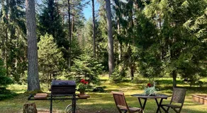 Rojaus Slenis - Image 4