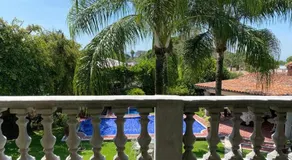 Relax and Enjoy Cuernavaca Pet Friendly - Image 4