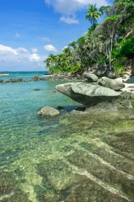 Tasvir Lagoon Retreat - Image 3