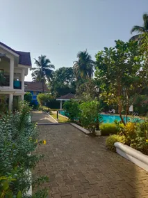Golden Sands - Image 3