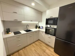 Veleslaveenka - Spacious Apartment in Pilsen Old Town - Image 5
