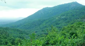 Whiteflower Mountain Resort - Image 5