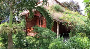 Mekong Delta Ricefield Lodge - Image 2