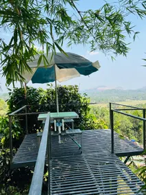 Casita Greens - Image 5