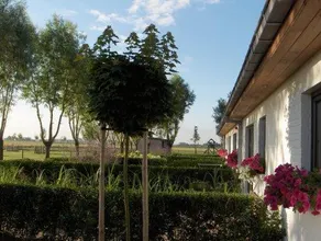 B&B Knotwilgenhoeve - Image 4
