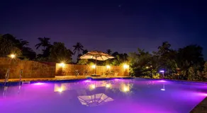 The Palmnest Resort - Image 2