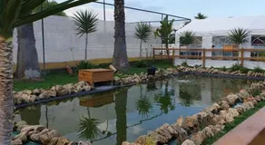 Casa vacanze Barbera con piscina - Image 3