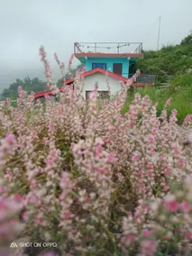 Great Himalayan adventure kareri - Image 3