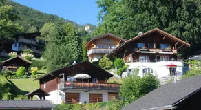 Jobin Brienz - Image 5
