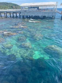 Sanya Jingjie Yeshu Homestay (West Island Branch) - Image 5