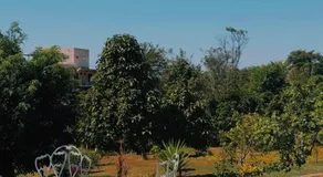 Rancho Bougainville - Image 3
