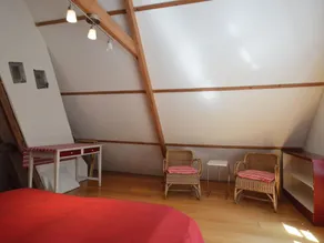Holiday Home in De Wolden near Forest - Image 4