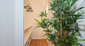 Broglio Studios - Image 4