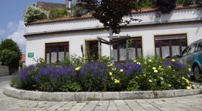 CasaCreativa - Image 5