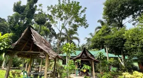 Wisma Batu Mandi and Jungle trekking - Image 4